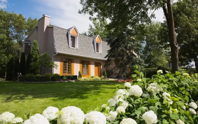 The Impact of Heat on Sewer Systems: Comprehensive Insights for Homeowners