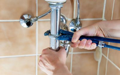 Top Signs Your Drains Need Immediate Attention: A Comprehensive Guide